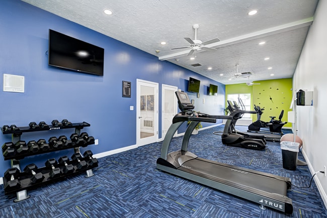 Photo - Autumn Chase