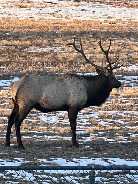 Photo - 569 S Edinburgh Dr