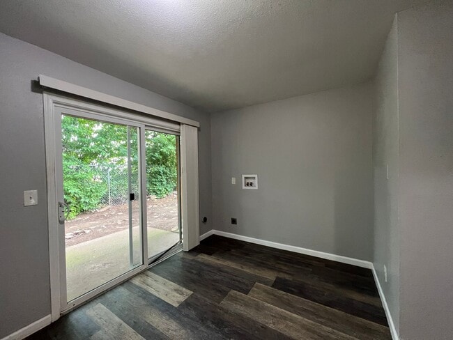 Photo - Cascade Firs