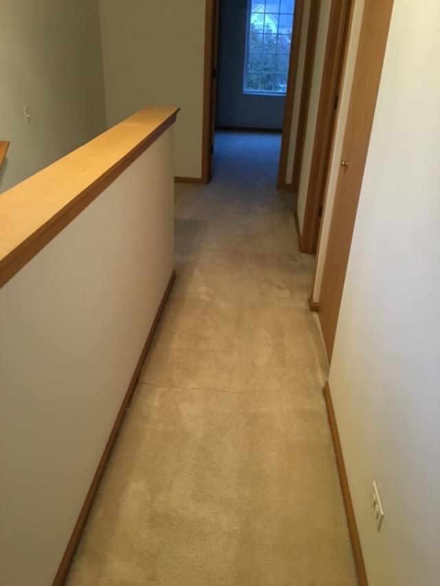 Photo - 2554 Carrolwood Rd