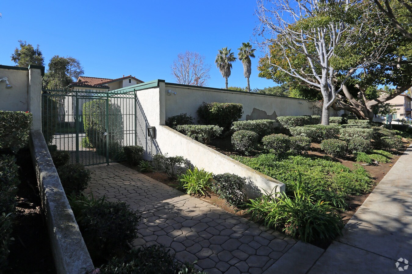 Sycamore Villas - Sycamore Villas