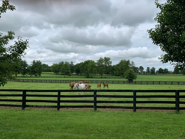 Photo - 2900 Newtown Pike Unit A