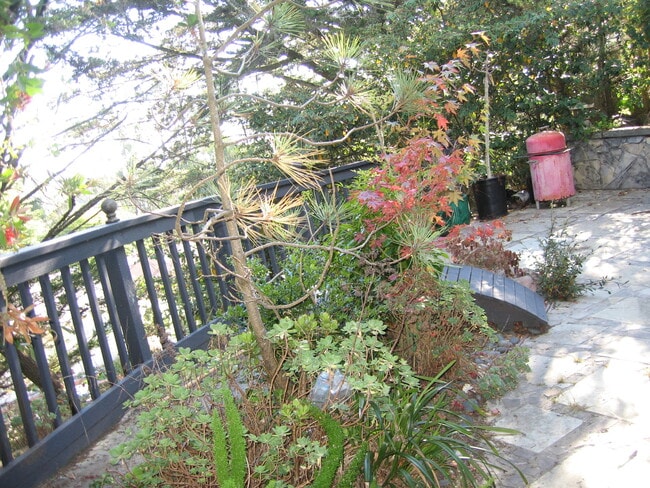 Secluded tranquil backyard - 409 Dellbrook Ave