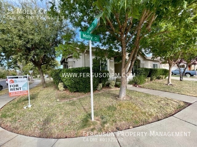 Photo - 11 Molly Ct