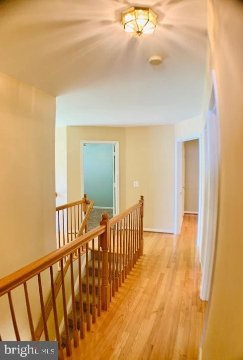 Photo - 21 Warwick Way