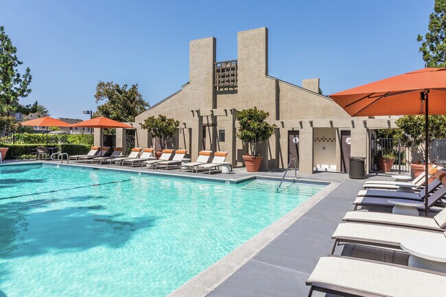 Windwood Knoll Apartment Homes