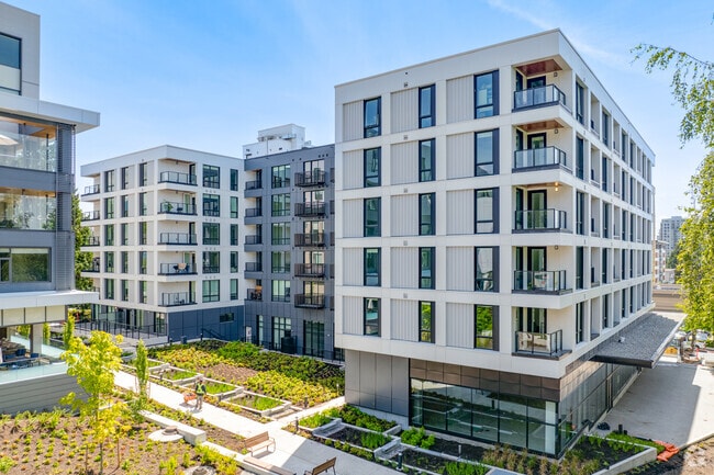 Photo - Lonsdale Square