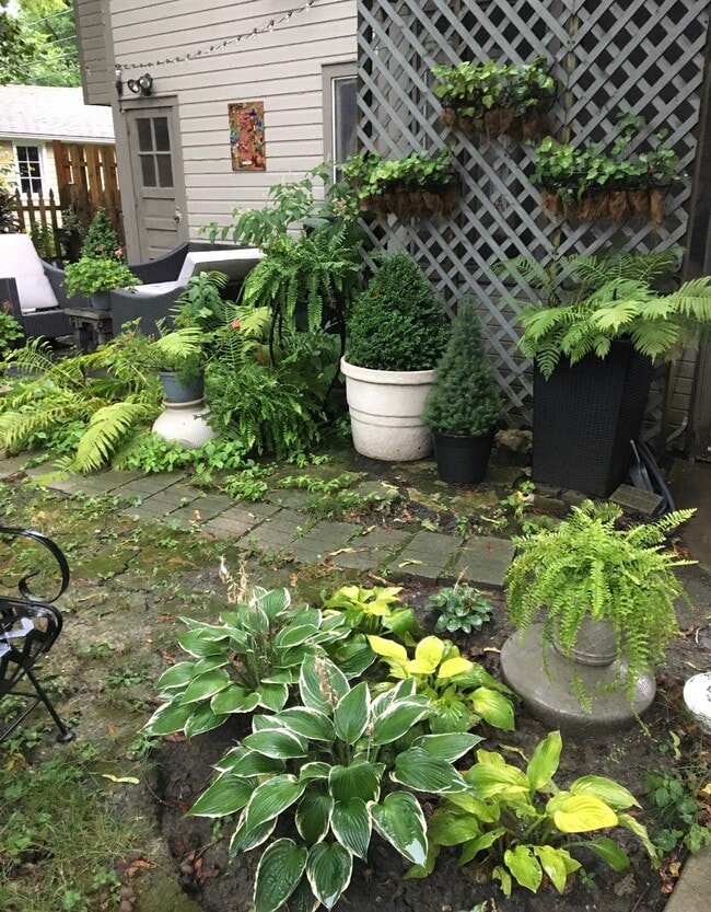 Photo - 3026 Park Pl Unit Coach House