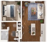 1 Bedroom Apartment