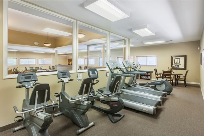 Gimnasio - Holiday Square - 55 And Above