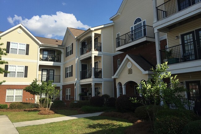 Photo - Ashton Meadows