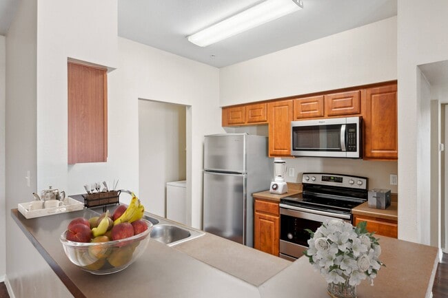 Photo - Cypress Gardens