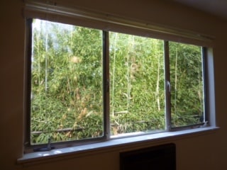 Photo - North Vista 4