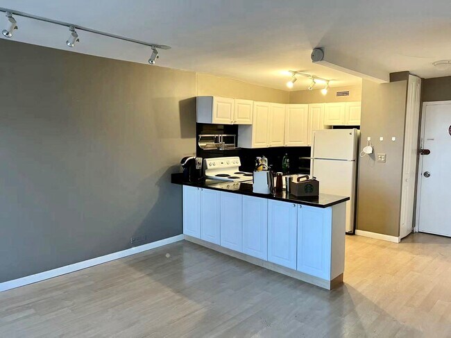 Photo - 1460 N Sandburg Terrace