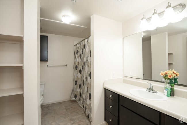 1BR, 1BA - 842SF - Bathroom