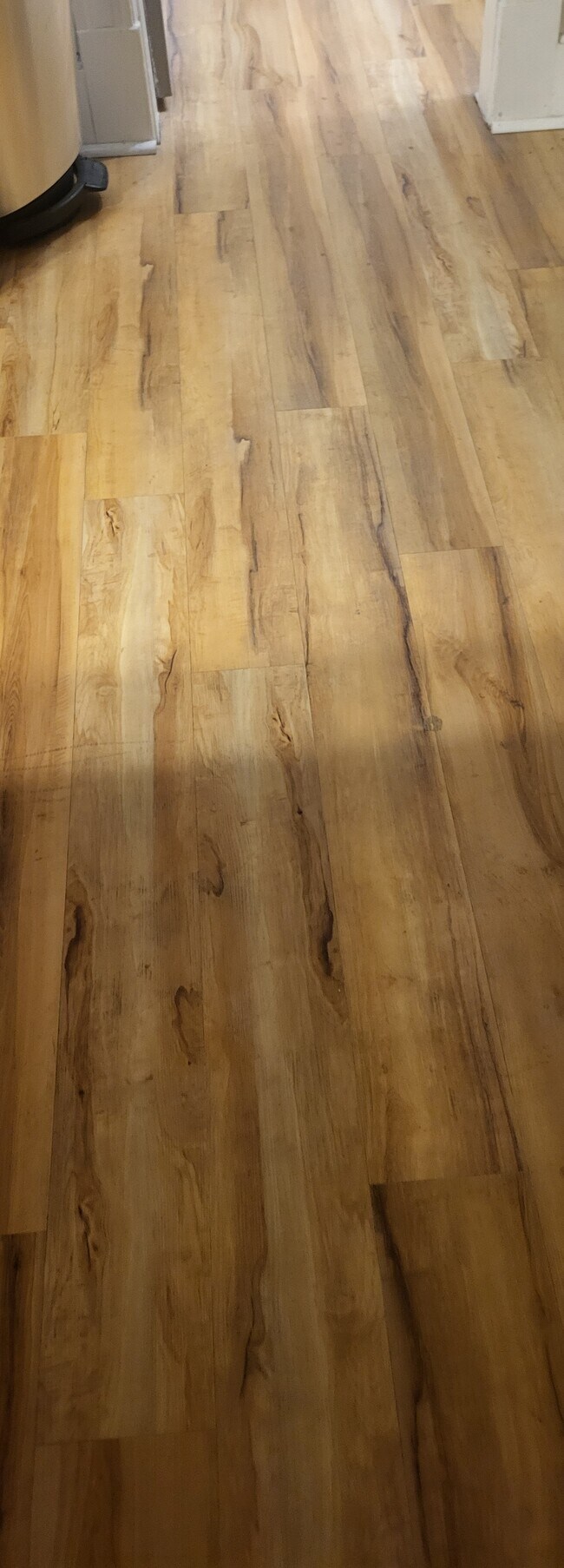 waterproof floor - 267 Kelley St Unit West