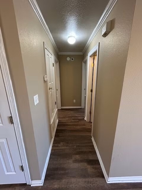 Photo - 1326-1328 Pine Hill Drive