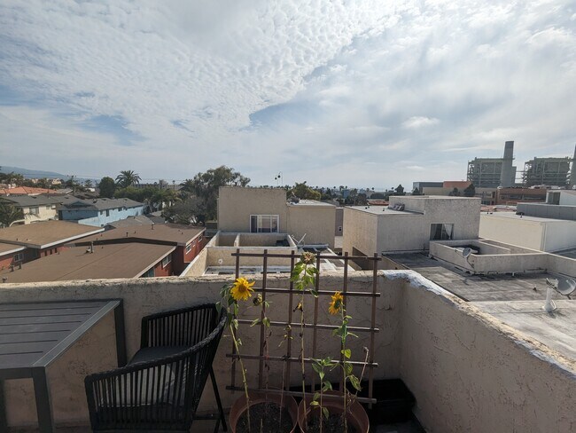 Roof top - 517 N Francisca Ave Unit 1