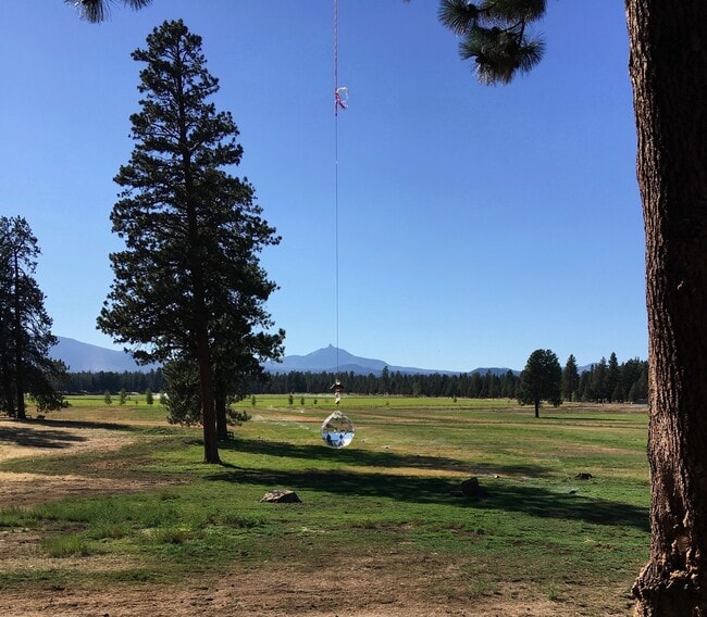 Photo - Furnished Condo in Pine Meadow Village