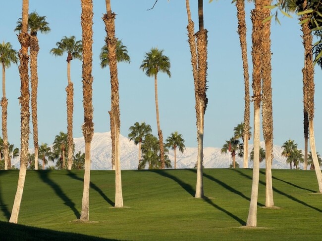 Building Photo - 269 Vista Royale Cir W