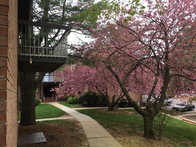 Photo - KNOLLWOOD GARDENS/ NO PETS ALLOWED