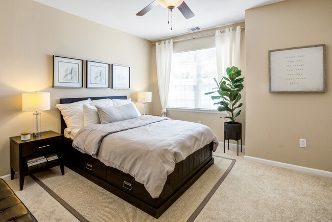 Photo - IMT Cherry Creek