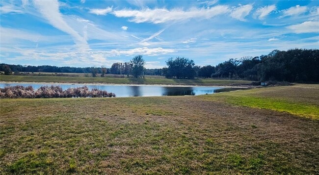 Photo - 3112 Forrest Plum Ct