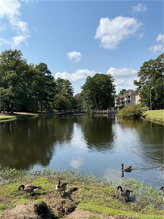 Photo - 663 Bartons Landing Pl