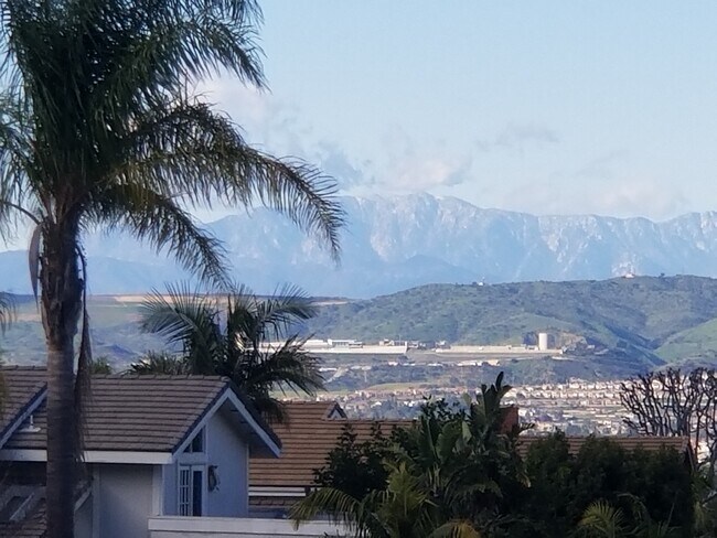 Beautiful front yard view - 5269 E Rural Ridge Cir