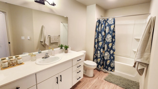 The Vicara Apartments & Townhomes
