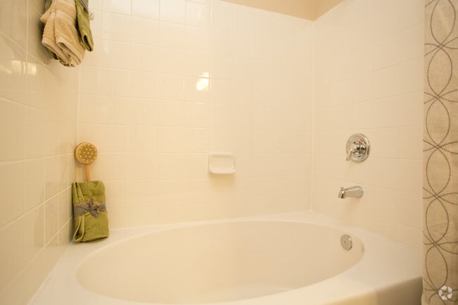 Ceramic tile bathroom