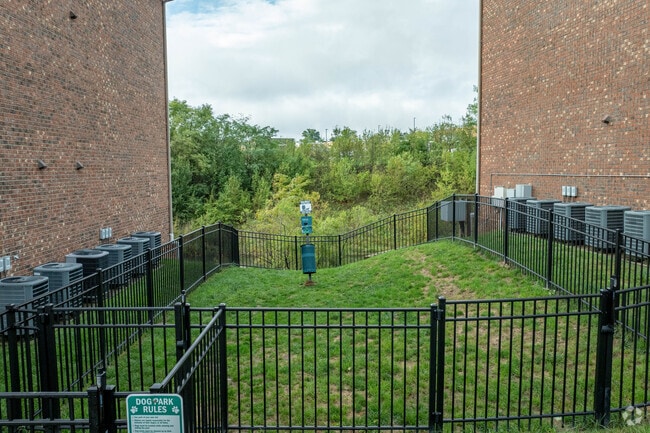 Dog Park
