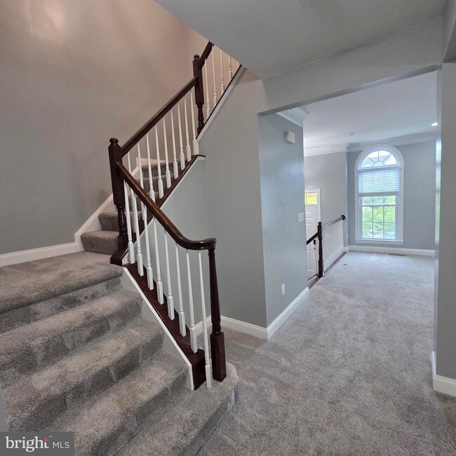 4121 Chariot Way