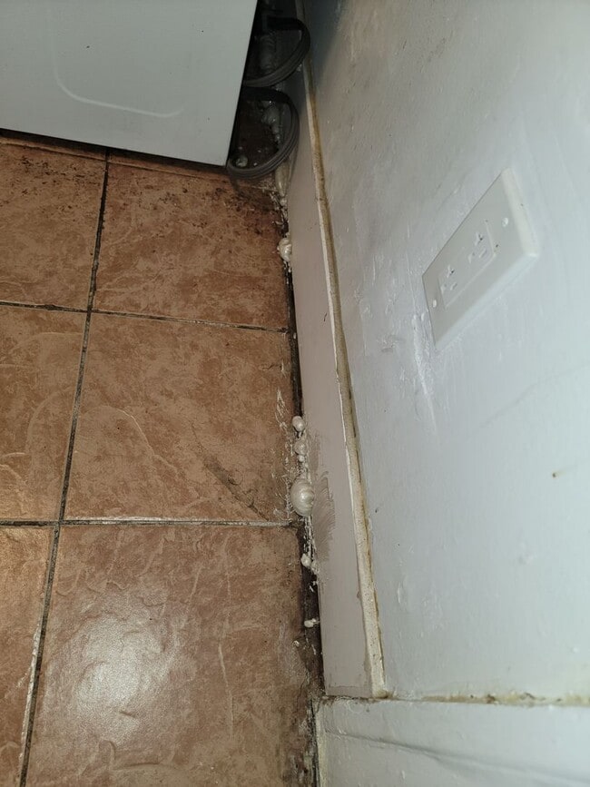 Building Photo - 1185 E 167th St Unit 2 (Top)