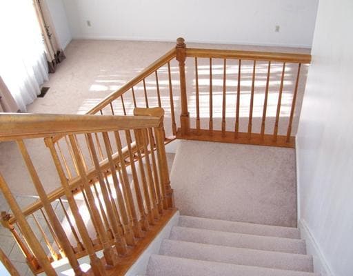 Photo - 2341 Timbercrest Ct