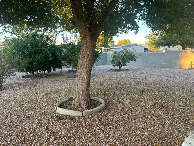 Photo - 2 bedroom long term rental in Sun Lakes