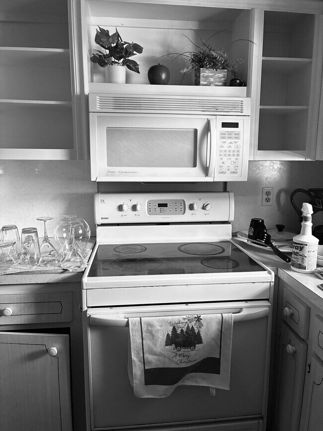 Building Photo - 2540 Boundbrook Blvd Unit 205