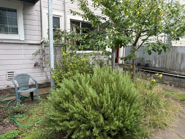 Photo - 1457 11th Ave Unit Courtyard Garden