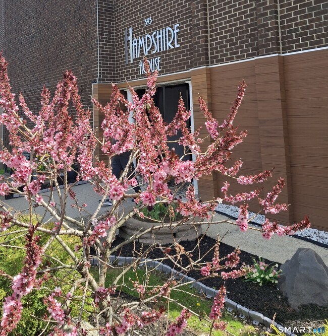 Photo - 393 Laurel Ave Unit 305