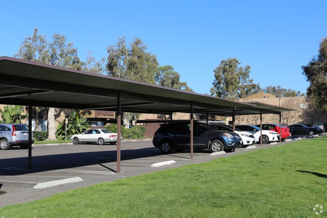 Photo - Allure Condominiums