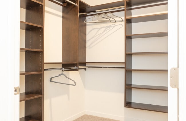 2 BR-2 BA 1072 SF Bedroom 1 Closet