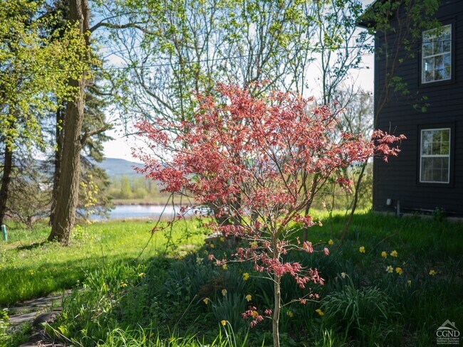 Photo - 483 Travis Hill Rd