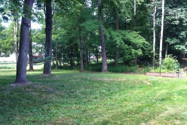 Backyard - 16 Cardinal Dr Unit 1