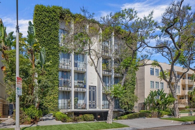 409 Palm