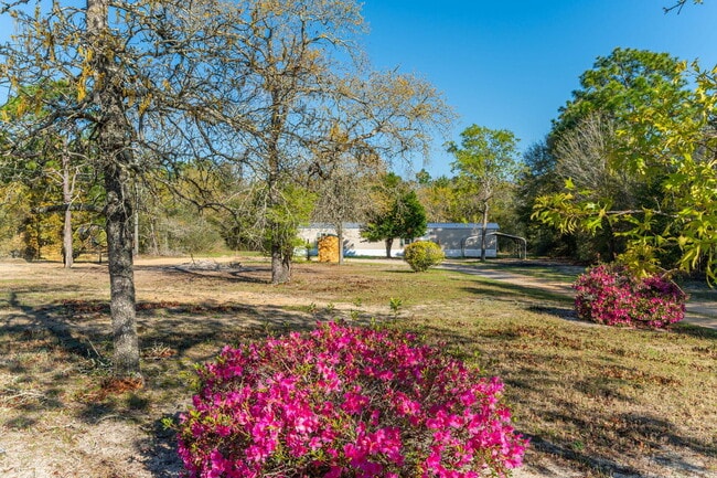 Photo - 512 W Bach Dr