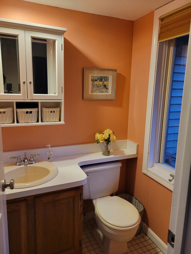 downstairs bathroom - 162 Stone Ridge Rd