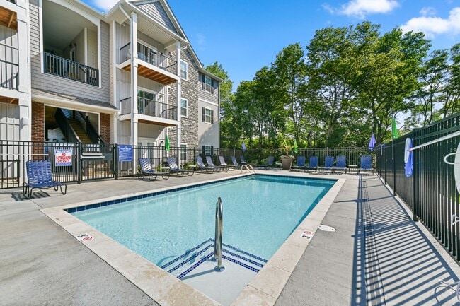 Photo - Alkire Meadows