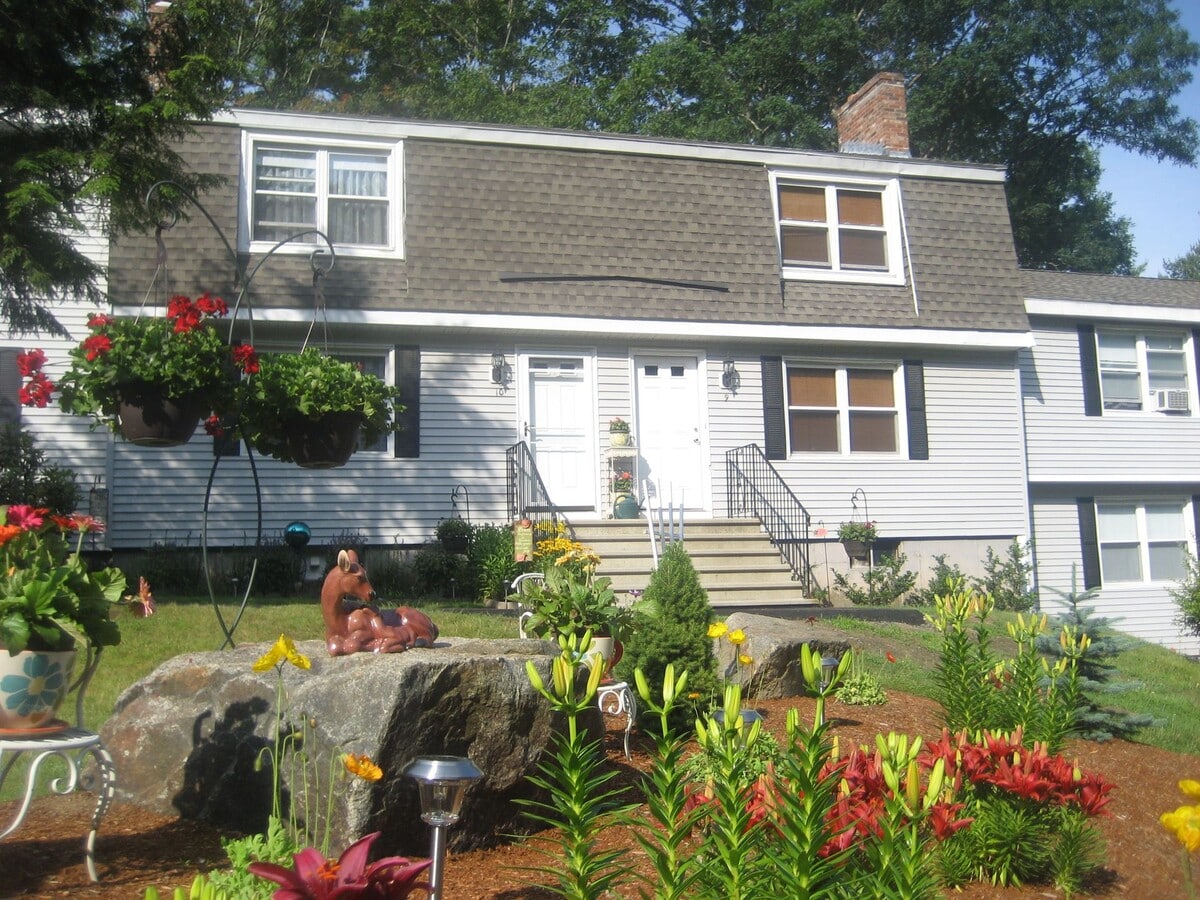 Photo - Boxford Woods