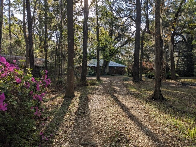 Driveway - 129 Hindman Ln