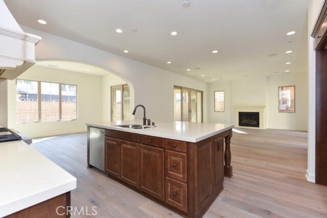 Photo - 8 Last Bloom